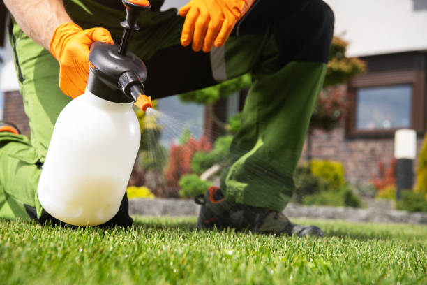 Best Commercial Pest Control Services  in Smithville, MO