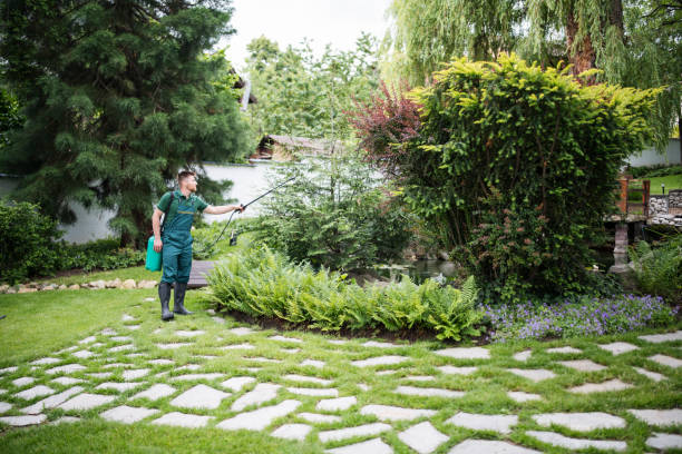 Best Mosquito Control Services  in Smithville, MO