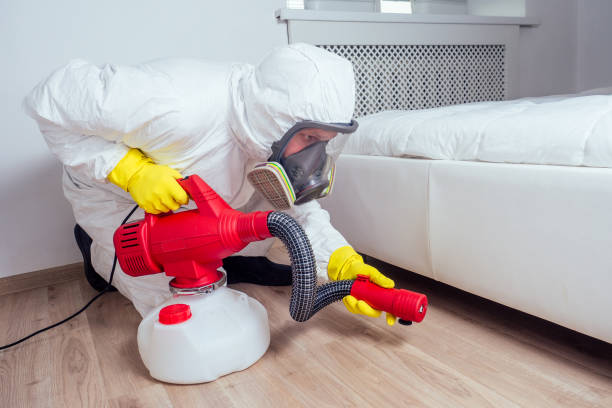 Best Pest Removal Services  in Smithville, MO