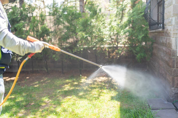 Best Best Pest Control Companies  in Smithville, MO