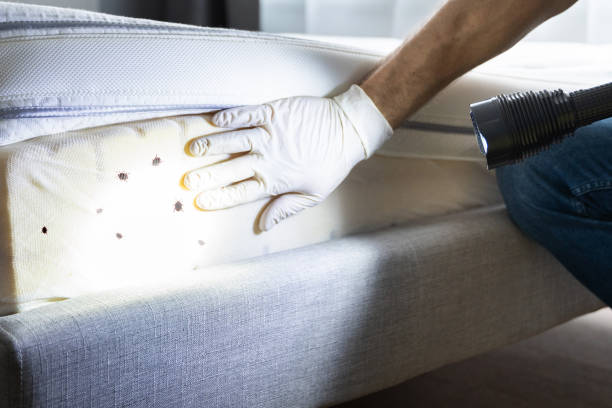 Best Pest Removal Services  in Smithville, MO