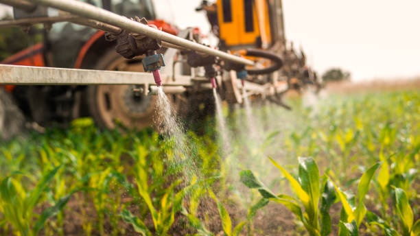 Best Local Pest Control Services  in Smithville, MO